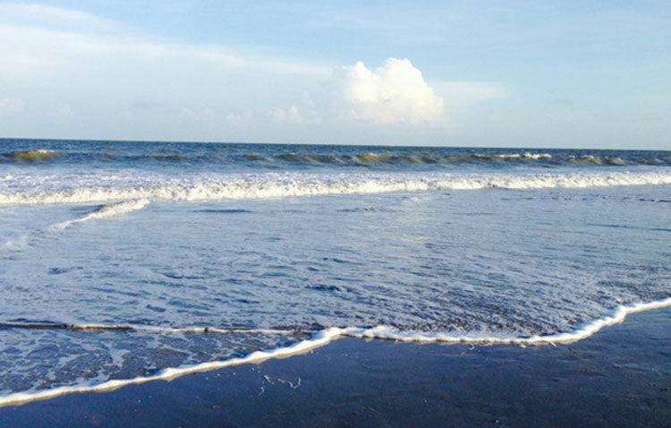Hilton Head Island Beach And Tennis Resort ภายนอก รูปภาพ